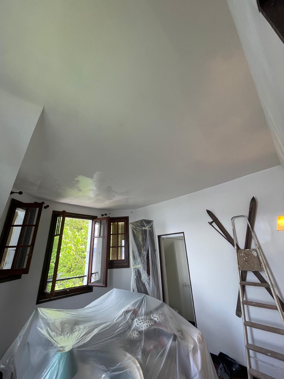 Elimination de moisissures